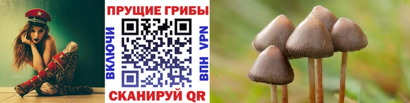магазин  наркотиков  KRAKEN ONION  Галлюциногенные грибы мухоморы  Кировск 